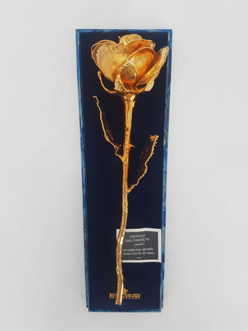 Tige de Rose naturelle plaquée or 24 carats dans son écrin d'origine
