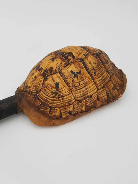 Ancien instrument de musique Africain en véritable carapace de tortue