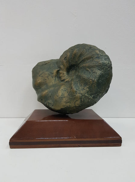 Sculpture Ammonite en ciment sur socle en bois