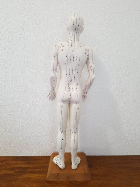 Mannequin d'acupuncture - Matériel pédagogique officiel Allemand