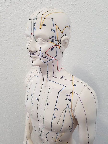 Mannequin d'acupuncture - Matériel pédagogique officiel Allemand