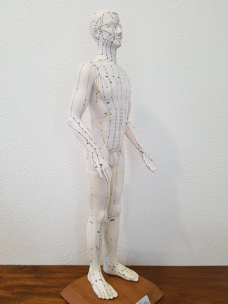 Mannequin d'acupuncture - Matériel pédagogique officiel Allemand