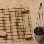 Support plante grimpante sur béton : treillis et clématite fixés